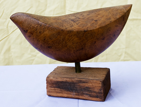 Bird 14